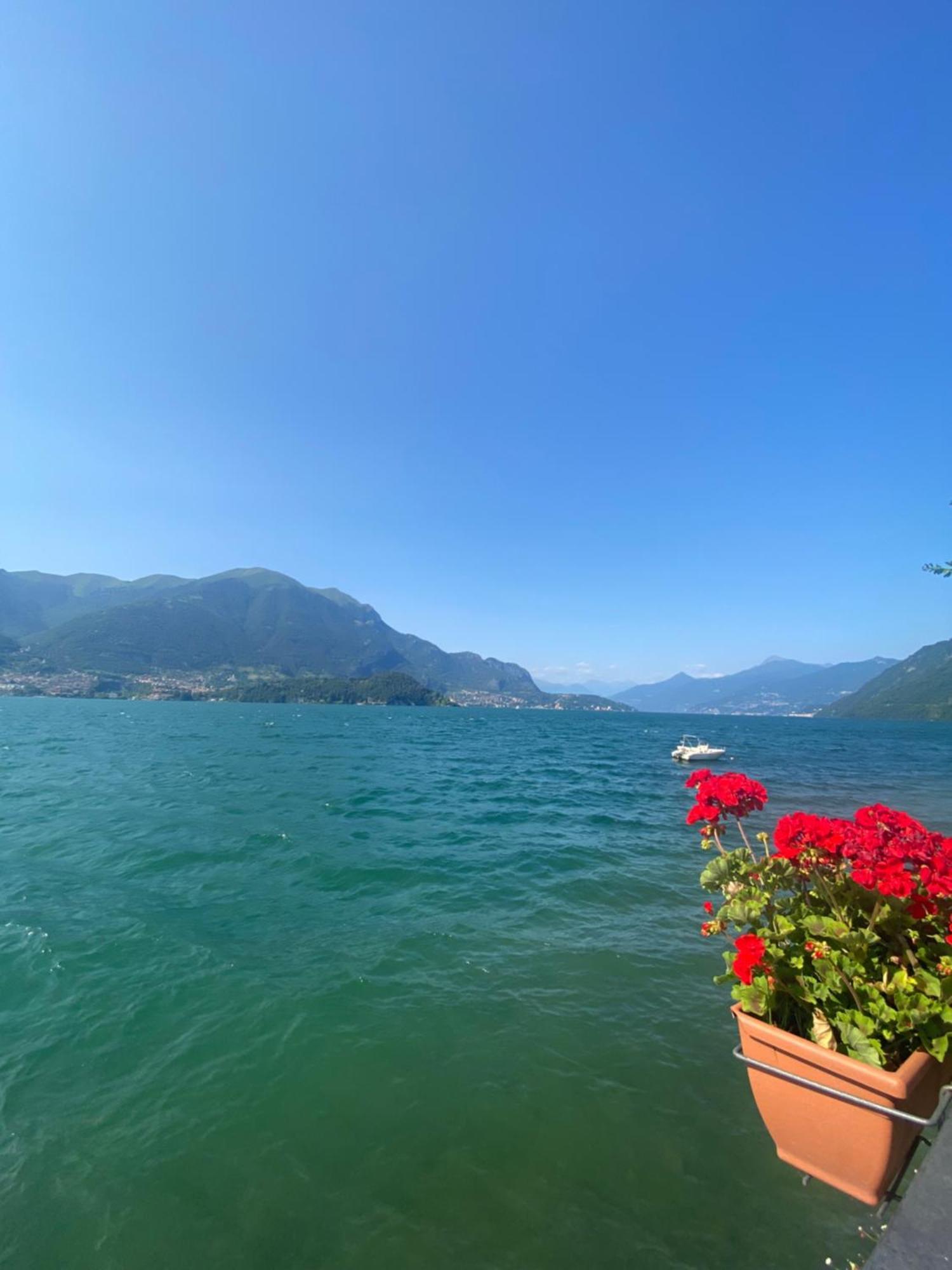 Peonia Apartment - Appartamento Vista Lago Леццено Екстер'єр фото