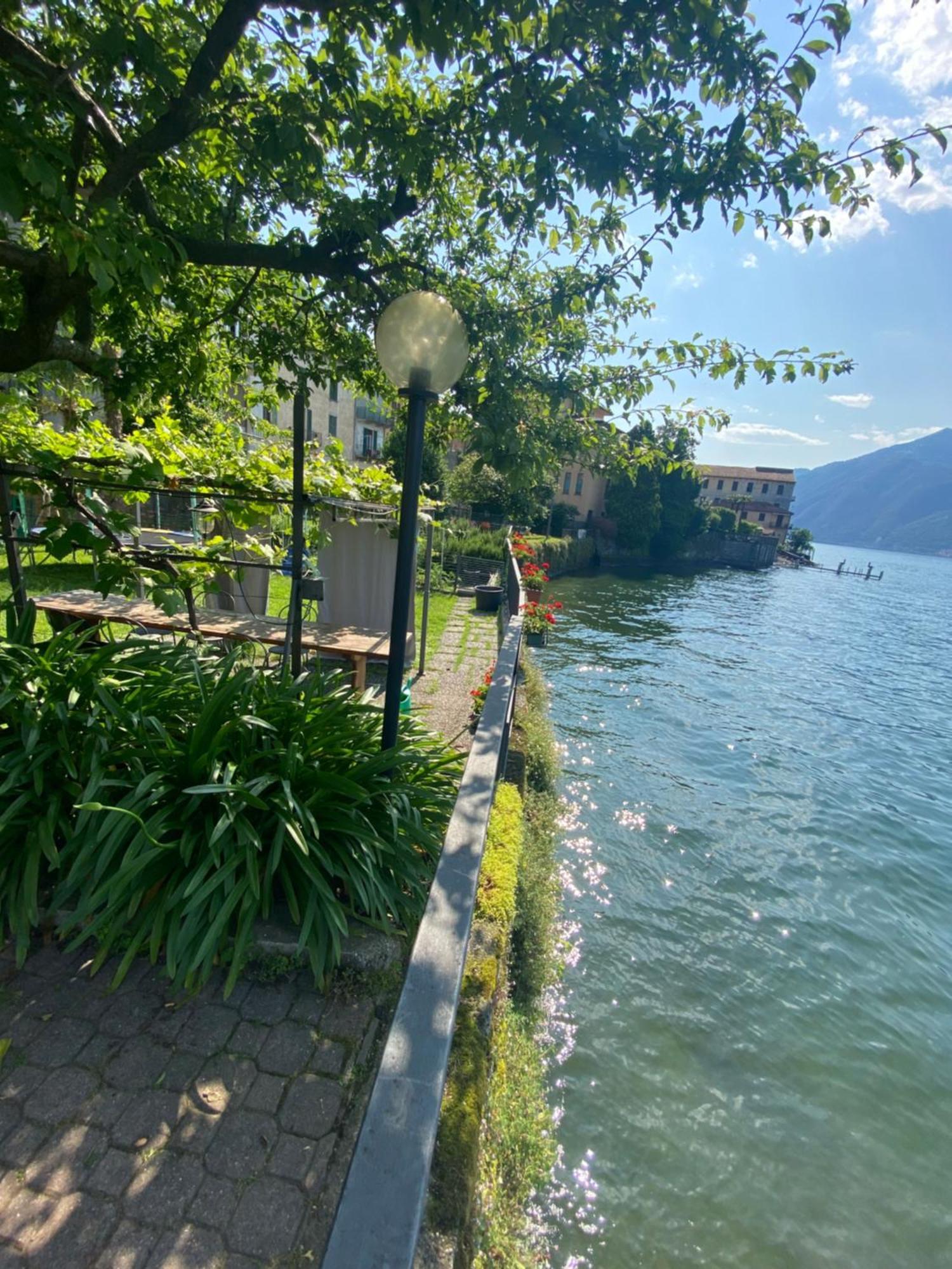 Peonia Apartment - Appartamento Vista Lago Леццено Екстер'єр фото
