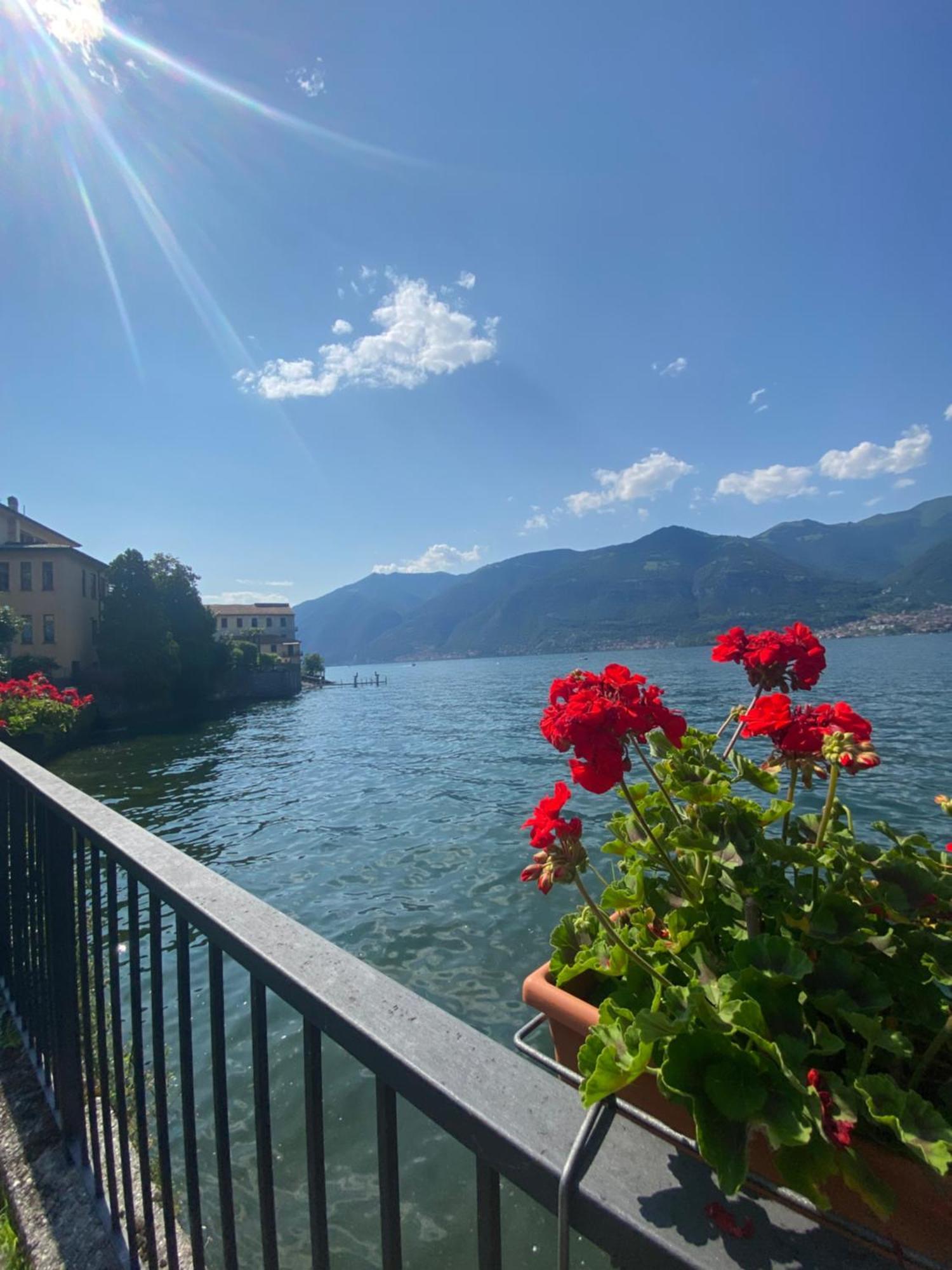 Peonia Apartment - Appartamento Vista Lago Леццено Екстер'єр фото