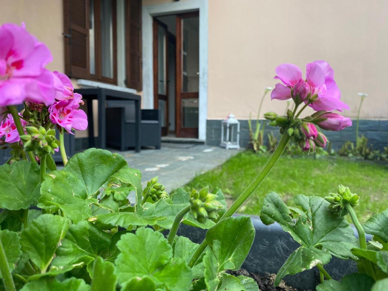 Peonia Apartment - Appartamento Vista Lago Леццено Екстер'єр фото